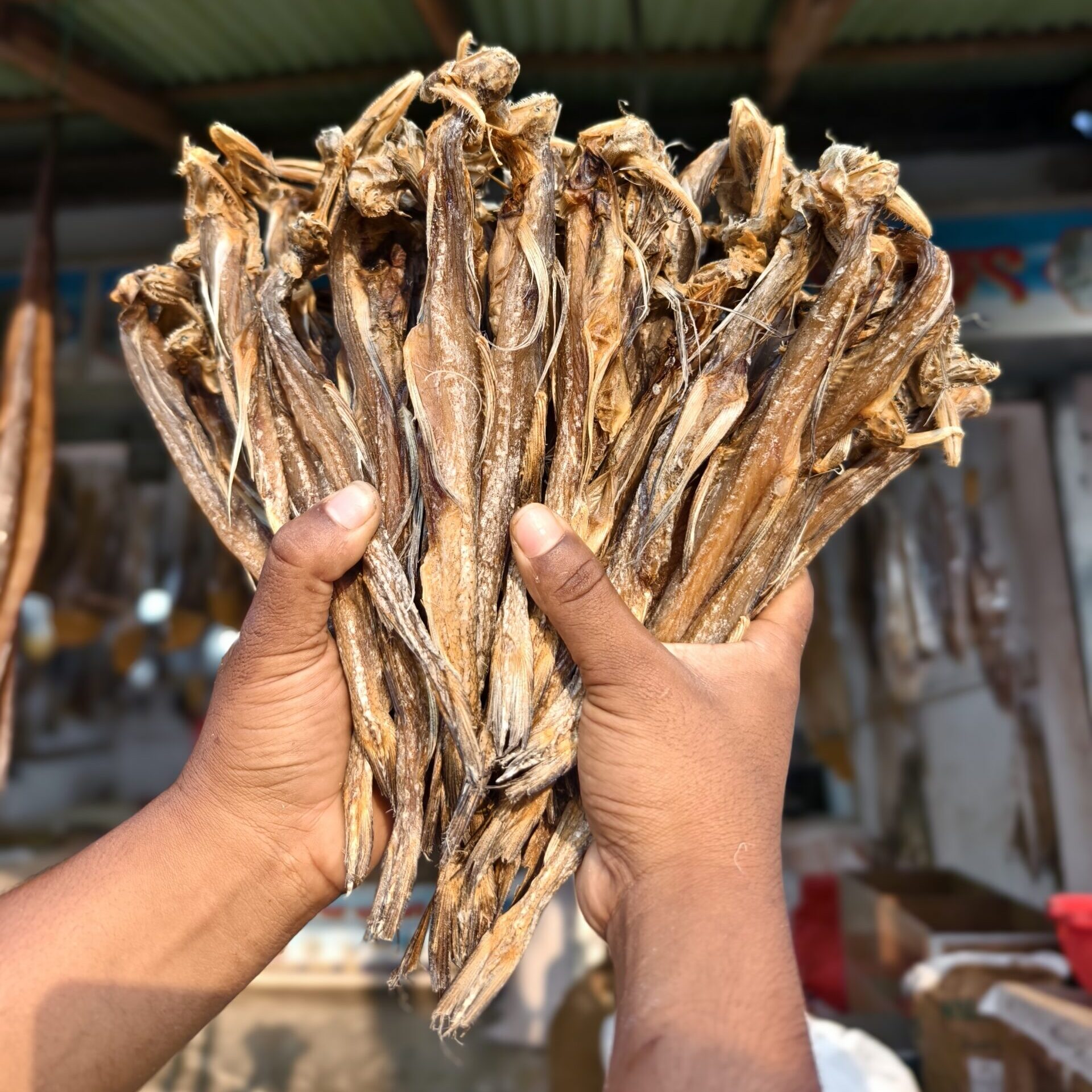 প্রিমিয়াম দেশী লইট্যা মাছ (লবণমুক্ত)