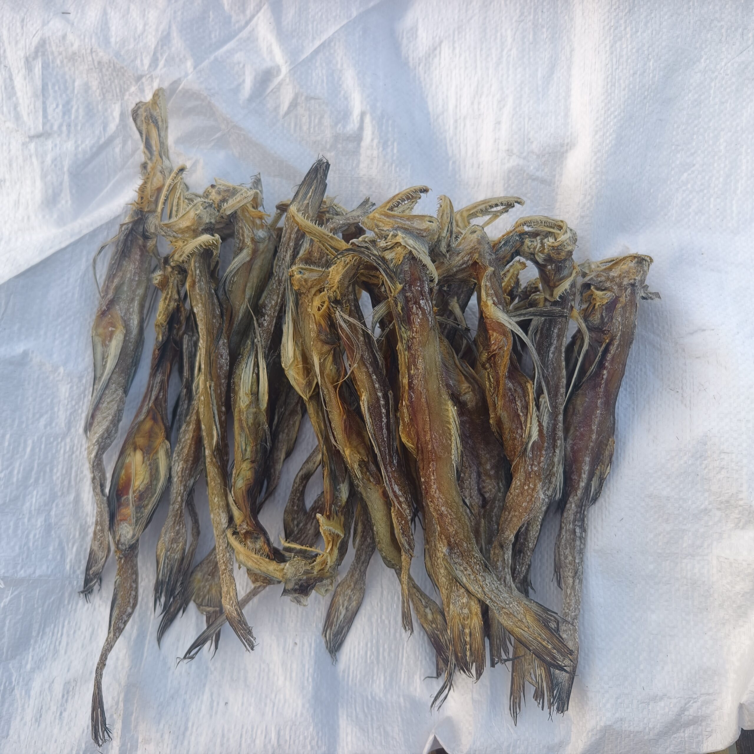 প্রিমিয়াম দেশী লইট্যা মাছ (লবণমুক্ত) - Image 2